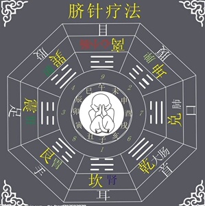中医齐永脐针疗法(完整版)夏连红月老讲脐针视频15g全薄智云腹针