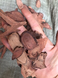 深山 野生千斤红 500g 红天根不倒 千斤红 大叶千斤拔 包邮