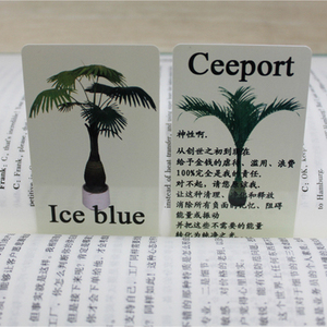 零极限金钱清理卡 ceeport酒瓶椰子清理卡片 ice blue祈祷文