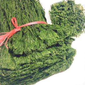 宁波宁海特产苔条苔菜丝野生海苔条干净天然鲜香炒花生250g 新货