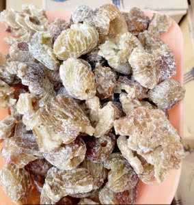 硬蜜枣花河北沧州金丝小枣红枣包粽子做馅零食煲汤5斤一箱