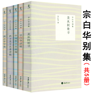 美从何处寻+宗白华讲稿+西方美学名著译稿+中国哲学史提纲+西洋哲学史宗白华别集全5册师宗白华讲美学全集四讲华夏美学艺境散步书