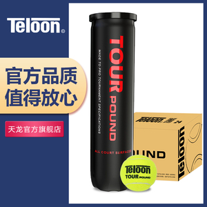 天龙网球专业比赛用球POUND/LUXQ1/P3P4训练高弹耐磨整箱【24听】