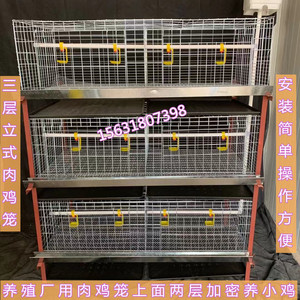 三层立式养殖肉鸡笼全自动养鸡设备养殖笼肉鸡笼大公鸡笼土鸡鸡笼