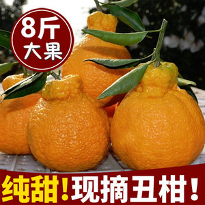 四川新鲜水果春见耙耙柑粑粑柑丑橘丑八怪不知火丑柑柑橘橘子8斤