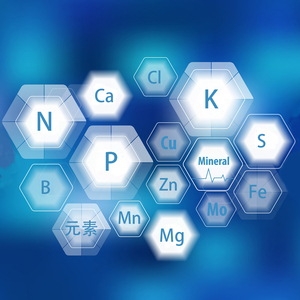 月季微量元素肥