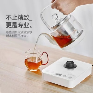 茶皇子玻璃煮茶壶小型智能养生壶功夫茶提梁壶长嘴0.8L电炖养生杯