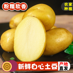 云南土豆白心