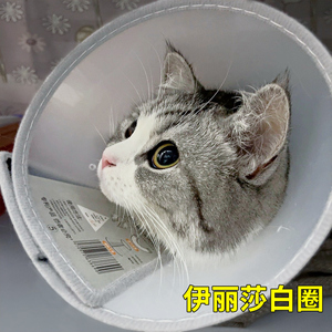 伊丽莎白圈狗狗猫咪项圈脖套防舔咬圈软伊丽莎白圈宠物头套耻辱圈