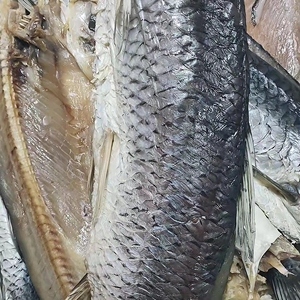 0015人付款淘宝青鱼干绍兴特产咸干鱼干货野生腌制螺蛳青鱼干整条腊鱼