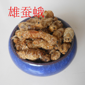 雄蚕蛾中药材 原蚕蛾 蚕蛾纯雄 雄蚕蛾粉 雄蚕蛾泡酒料可搭配锁阳