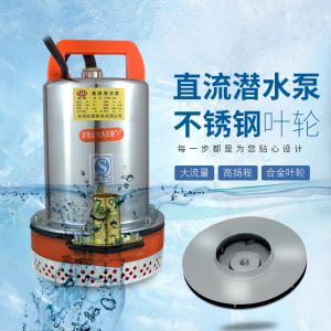 直流潜水泵12v48v60v伏电瓶车电动车抽水机家用小型农用高扬程2寸