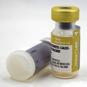 进口荷兰宠必威英特威猫三联疫苗 先灵葆雅猫3联/三联疫苗 猫疫苗