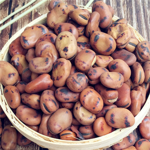 铁蚕豆特硬炒蚕豆铁锅胡豆豌豆黄豆子农家手工兰花豆湖南特产500g