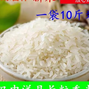 陕西汉中洋县特产农家大米香米长粒米5kg一袋包邮