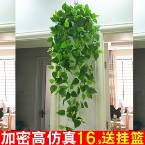 仿真植物吊篮假花藤条塑料绿叶树叶绿萝叶子吊兰室内壁挂装饰藤蔓