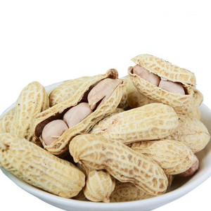 傻大哥花生220g带壳花生休闲零食坚果特产下酒花生米 10袋包邮