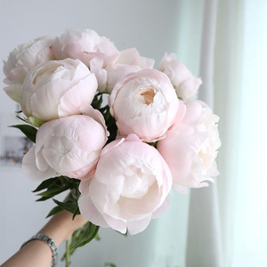 美国小姐芍药鲜花家用水养瓶插花粉色鲜切花婚礼大花苞母亲节礼物