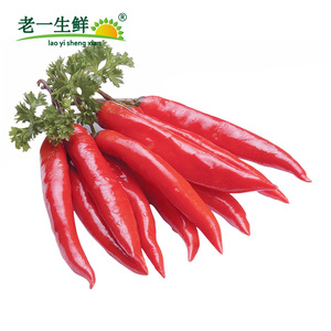 【老一生鲜】新鲜美人椒 海花红辣椒 红辣椒 500g