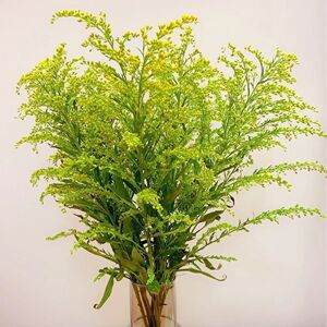 鲜花黄英水养顺丰冷链包邮可用于花束搭配云南基地直发包损包售后