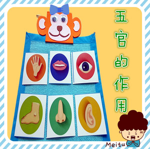 幼儿园区角区域游戏活动材料 幼儿园五官主题健康领域游戏玩教具