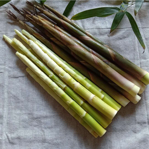 小竹笋湖南新鲜