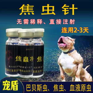 比特犬猎犬焦虫针印度比利时焦虫针蜱虫病病血虫病巴贝斯焦虫药