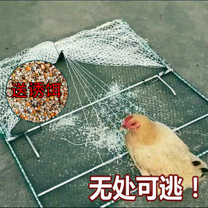 捕鸽神器收鸽子笼抓鸽子笼自动天落笼鸡鸭鹅捕捉网逮鸽只进不出
