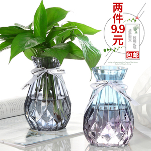 水培植物绿萝花瓶小简约创意玻璃透明彩色干花风信子观音竹插花瓶