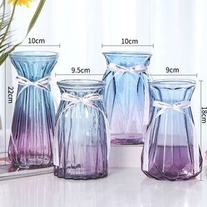 【四件套】玻璃花瓶彩色透明客厅摆件水培富贵竹百合 鲜花插花器