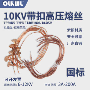 10KV高压熔丝熔断器保险丝变压器保护熔芯跌落式开关快速熔断丝