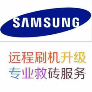 三星刷机S10 S8 S9 NOTE8 NOTE9港 韩欧版 美版解谷歌锁刷国行9.0