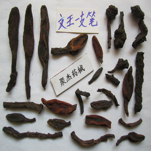 文王一支笔 红冬蛇菰 鹿仙草蛇菇不老根 借母怀胎1斤50元 2件包邮