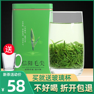 绿茶信阳毛尖2024新茶雨前春茶散装茶叶250g茶农自产自销浓香型