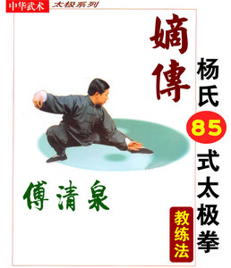 傅清泉嫡传杨氏太极拳八十五式教练法视频U盘传统杨式85式DVD光盘
