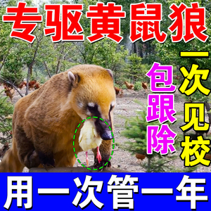 【只需一包】黄鼠狼捕捉器养鸡防黄鼠狼克星灭黄鼠狼的药驱赶神器