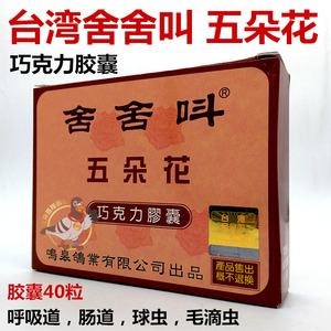 台湾舍舍叫【五朵花巧克力】胶囊40粒鸽子药4合1呼吸肠道毛滴球虫