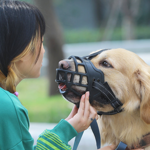 套狗神器大型犬