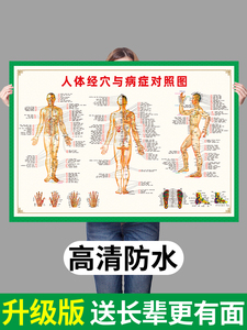 人体经络穴位图标准大挂图全身高清中医养生艾灸推拿按摩背部针灸