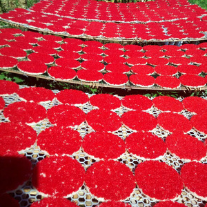 湖南特产邵阳洞口城步新宁绥宁隆回传统特色小吃武冈扶冲米花 6个