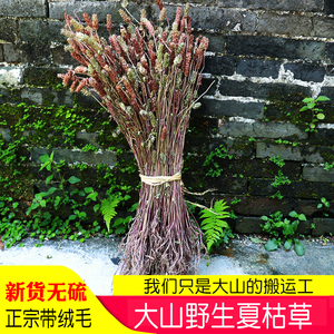 80我有一亩六分地淘宝野生夏至草中药材 干品百花夏枯草白花益母