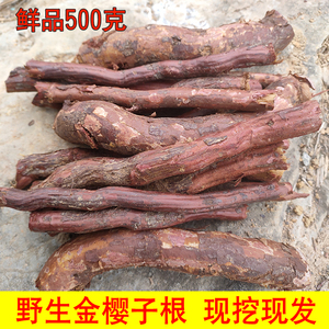新鲜金樱子根 刺梨子 金樱蔃 金樱根新鲜金樱根干500克中药材