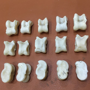 羊嘎拉哈真羊拐骨70后80后传统怀旧益智玩具羊骨头子一个2.6元