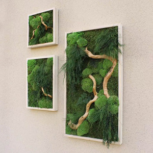 个性创意永生苔藓框绿植挂墙实木画框客厅玄关墙面装饰框logo定制
