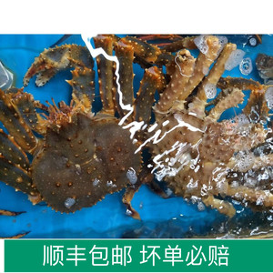 青岛海鲜鲜活进口阿拉斯加帝王蟹1988一只5斤半到6斤顺丰包邮活鲜