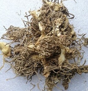 正品韭菜根 中药材 起阳草根 干韭菜根 新货韭菜子根 500克包邮