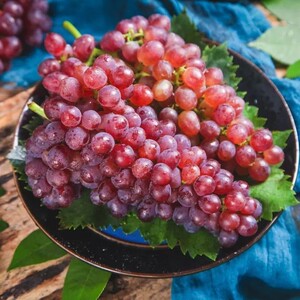 新疆葡萄吐鲁番提子新鲜脆甜红提珍珠萄葡当季时令水果5斤带箱