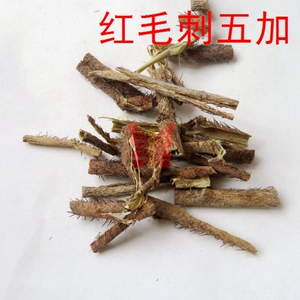 中药材 红毛五加皮500克 红毛刺五加皮