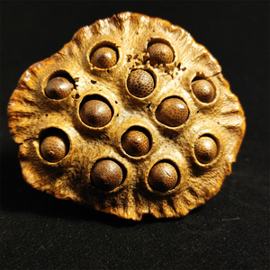 竹根雕莲蓬把玩摆件传统工艺纯手工文玩把玩件摆件工艺品节日文玩