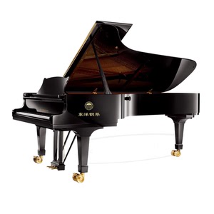 日本东洋钢琴toyo立式三角钢琴代理商经销商订货定金专拍链接
